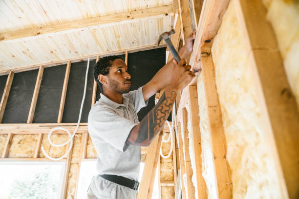 Eco-Friendly Insulation Solutions in Rodney Village, DE